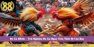 Đá Gà 88vin – Trải Nghiệm Đá Gà Ngay Trên Thiết Bị Của Bạn