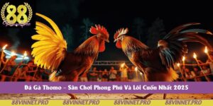 Đá Gà Thomo – Sân Chơi Phong Phú Và Lôi Cuốn Nhất 2025