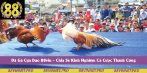 Đá Gà Cựa Dao 88vin – Chia Sẻ Kinh Nghiệm Cá Cược Thành Công