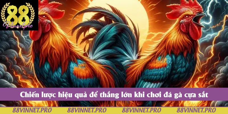 Chiến lược hiệu quả để thắng lớn khi chơi đá gà cựa sắt