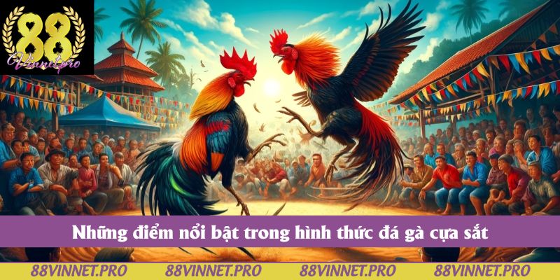 Những điểm nổi bật trong hình thức đá gà cựa sắt