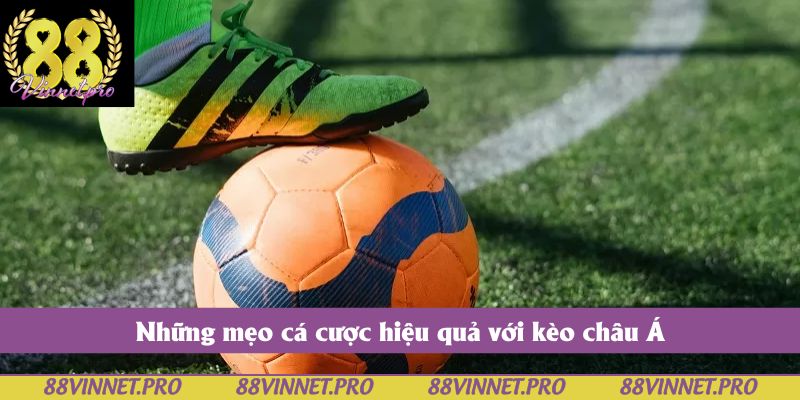 Những mẹo cá cược hiệu quả với kèo châu Á